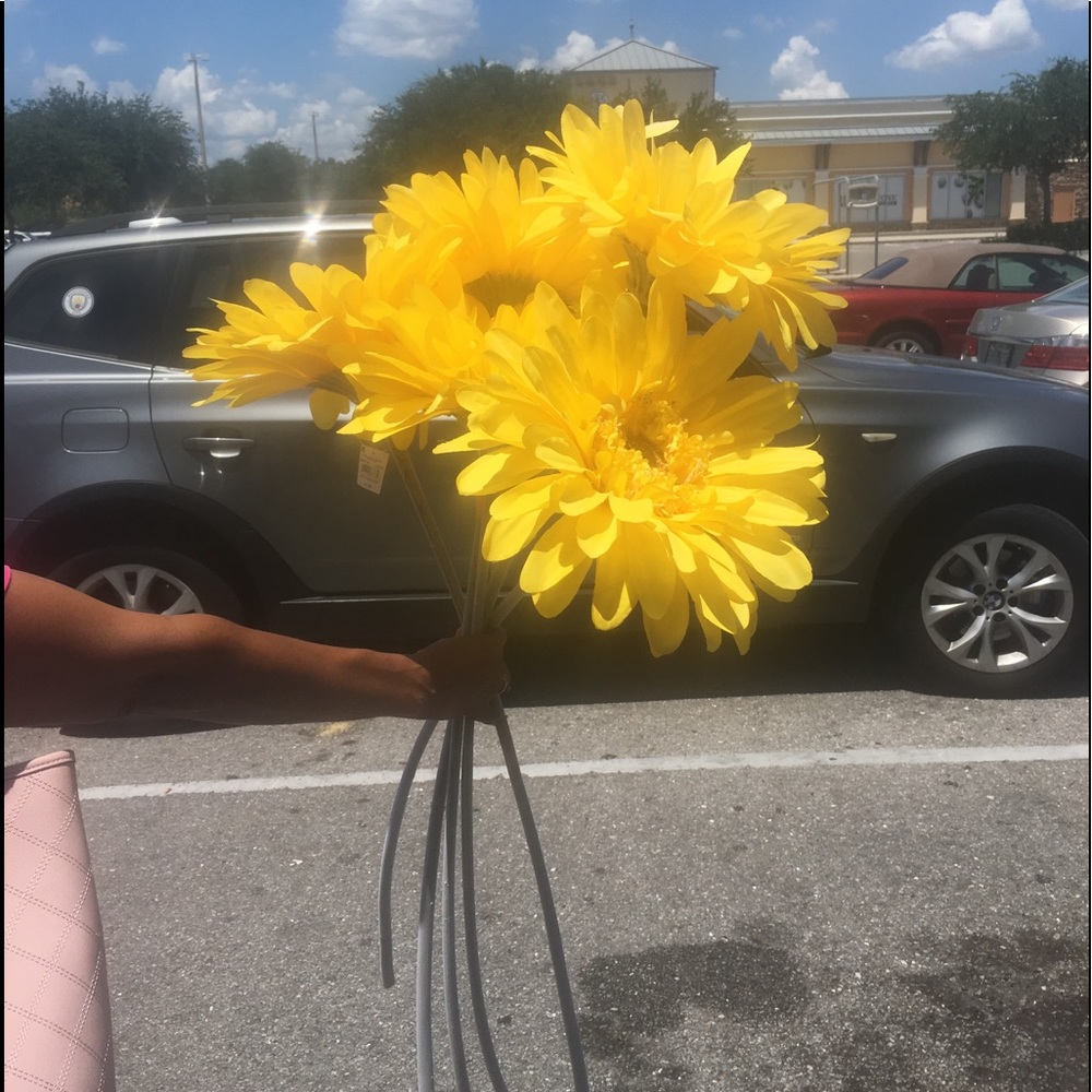 Large daisies
